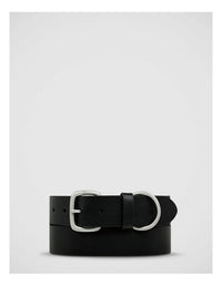 Status Anxiety - Disarm Belt