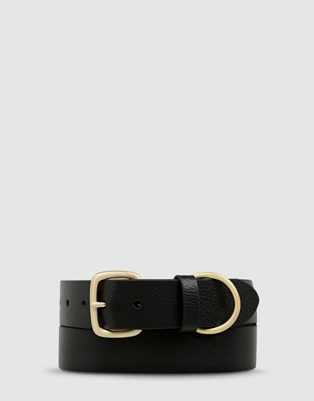 Status Anxiety - Disarm Belt