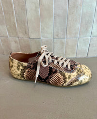 Alfie and Evie - Quinn Sneaker Multi Snake