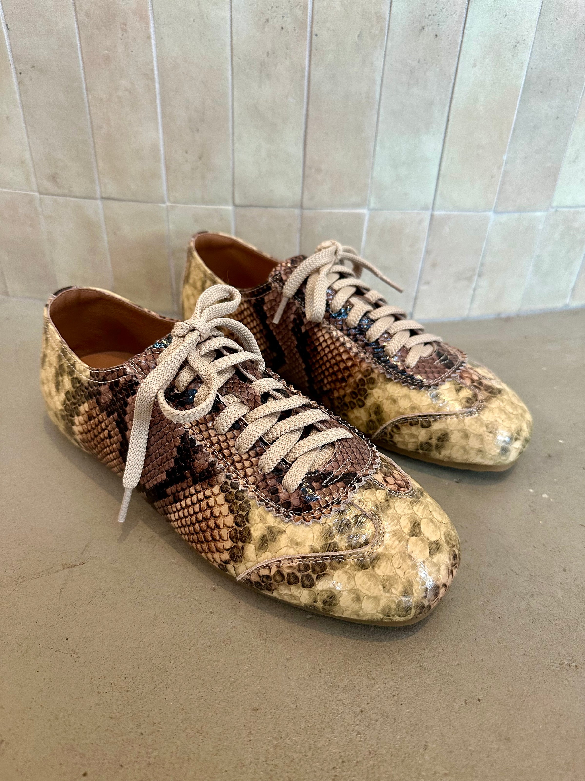 Alfie and Evie - Quinn Sneaker Multi Snake