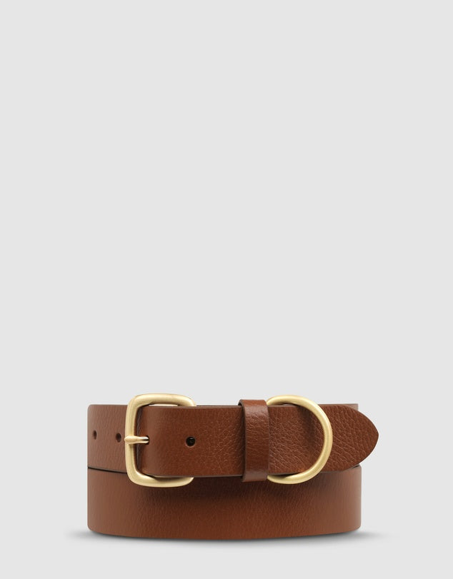 Status Anxiety - Disarm Belt