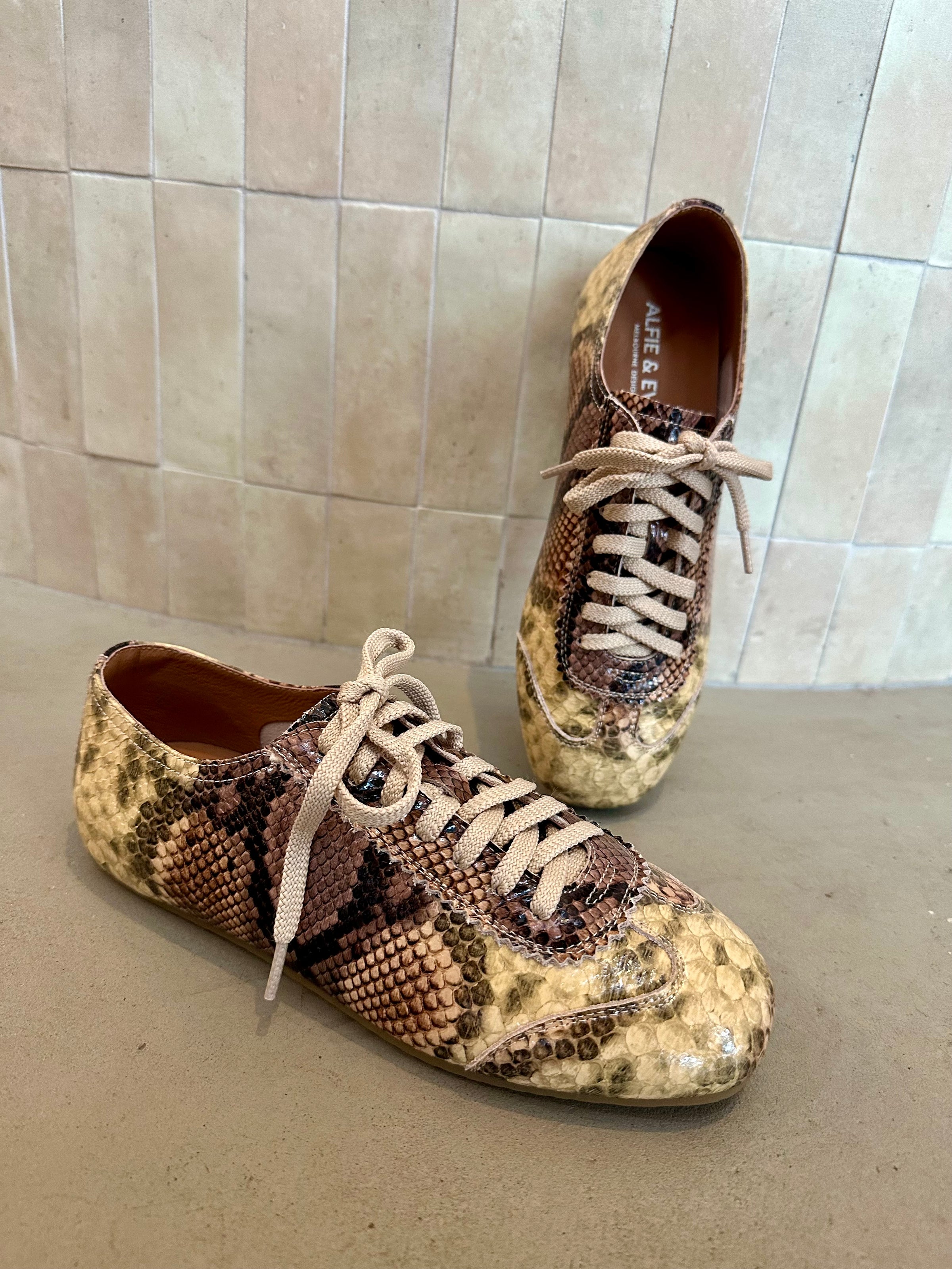 Alfie and Evie - Quinn Sneaker Multi Snake