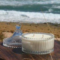 Cove Collection - Carousel Candle White/Clear Cove Christmas