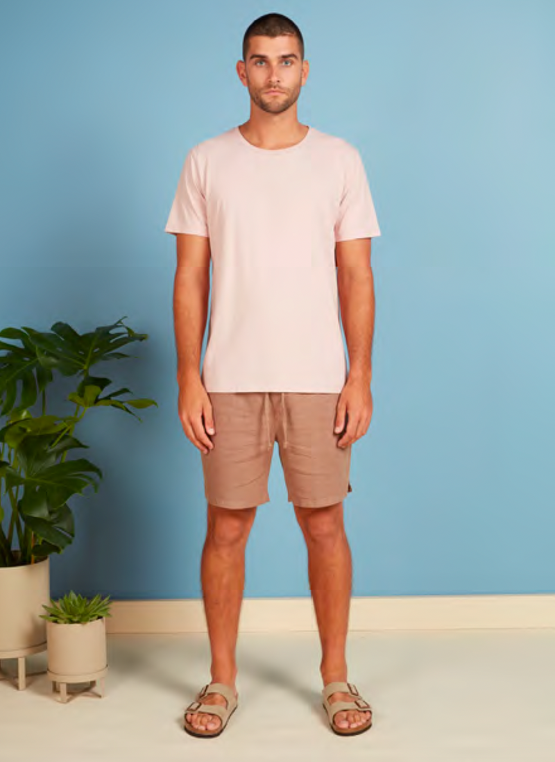 Academy Brand -Blizzard Wash Tee in Seashell Pink