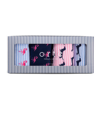 ORTC - Dachie and Flamingo Socks Box