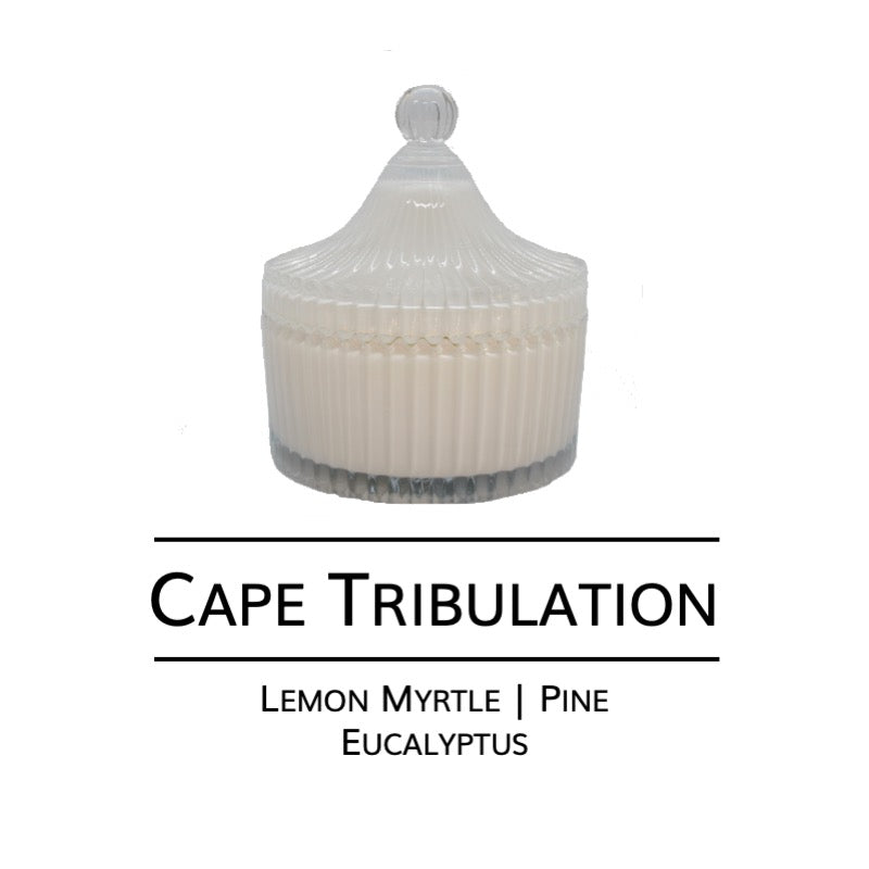 Cove Collection - Carousel Candle White Cape Tribulation